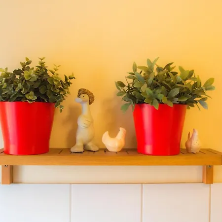 Lägenhet Haus Falkenhof *