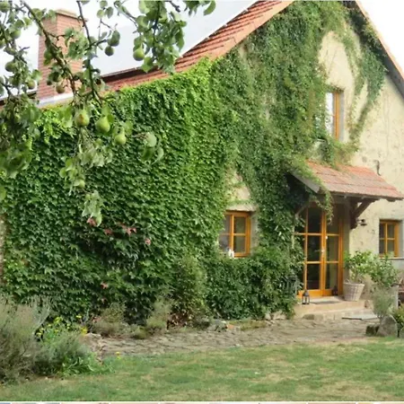 Haus Falkenhof Knullwald