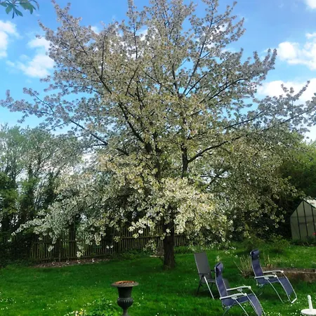 Haus Falkenhof Apartment