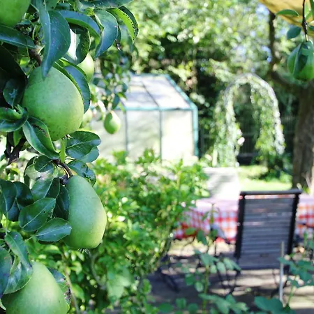 Haus Falkenhof Apartment