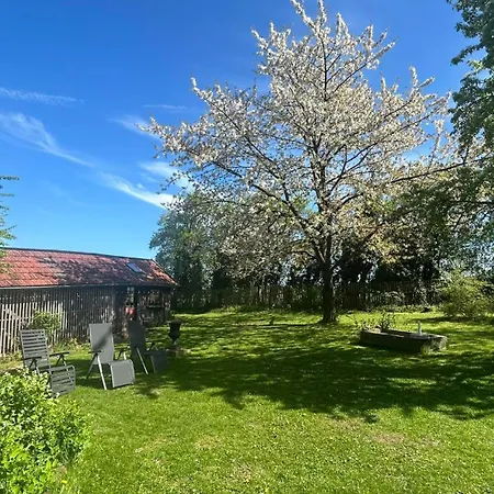 Apartment Haus Falkenhof Knüllwald