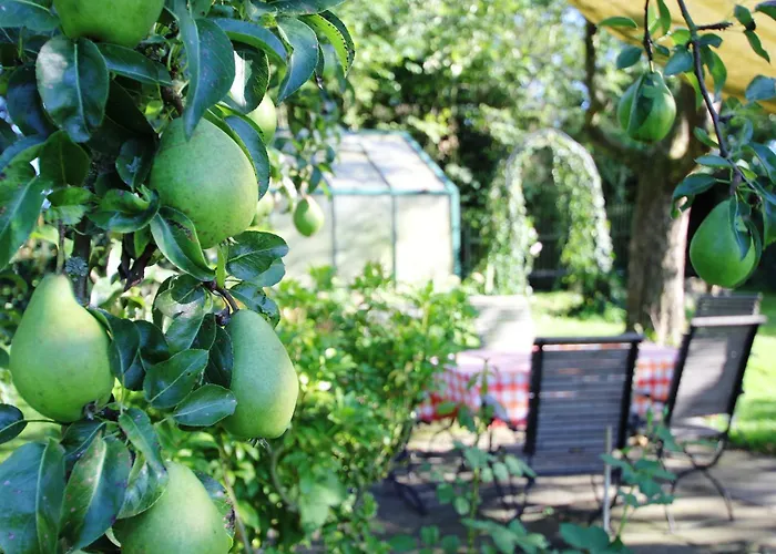 Haus Falkenhof アパート